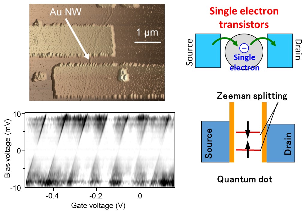 Quantum dot devices with gold nanowires