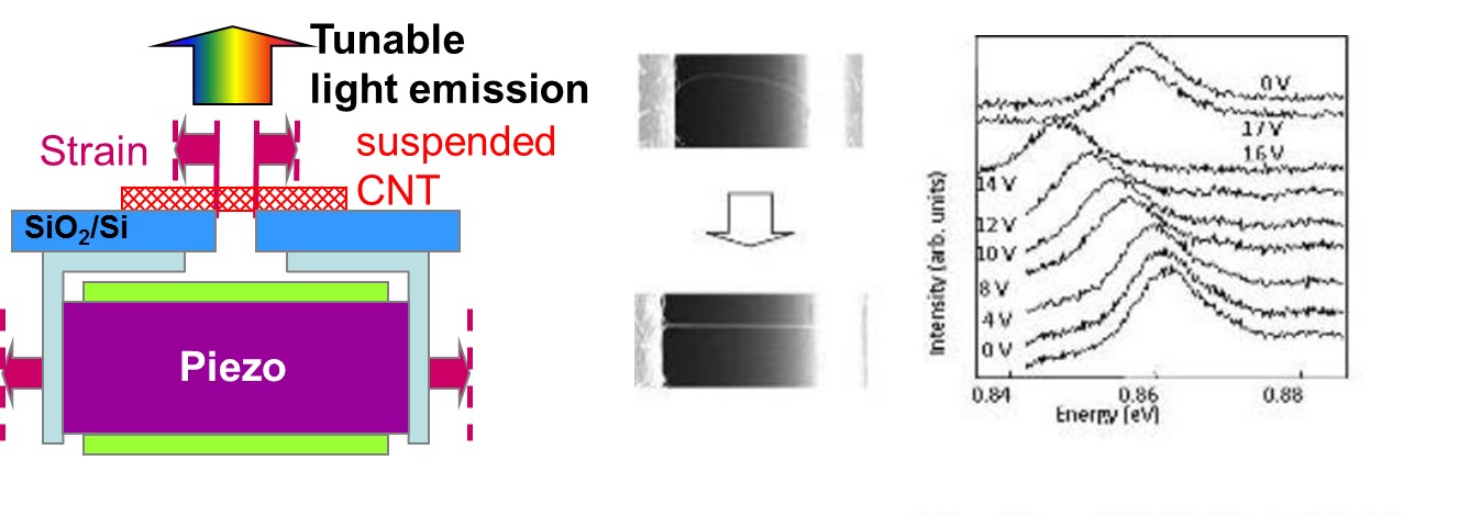 Tunable bandgap engineering for nanocarbon materials