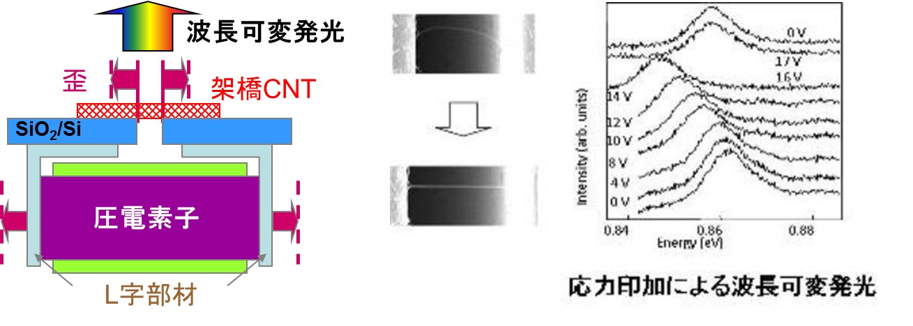 ナノカーボン材料での可変バンドエンジニアリング